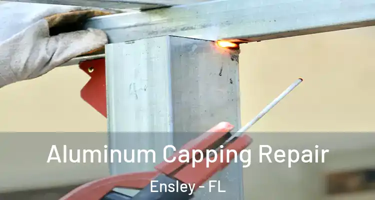  Aluminum Capping Repair Ensley - FL