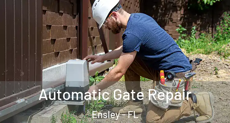  Automatic Gate Repair Ensley - FL