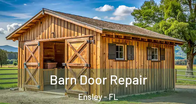  Barn Door Repair Ensley - FL