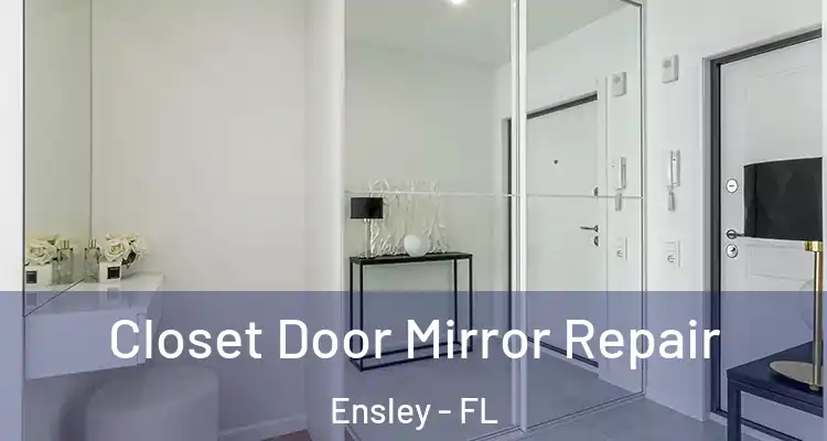  Closet Door Mirror Repair Ensley - FL