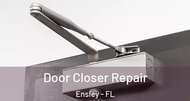  Door Closer Repair Ensley - FL