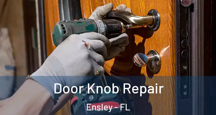  Door Knob Repair Ensley - FL