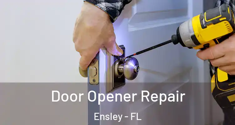  Door Opener Repair Ensley - FL