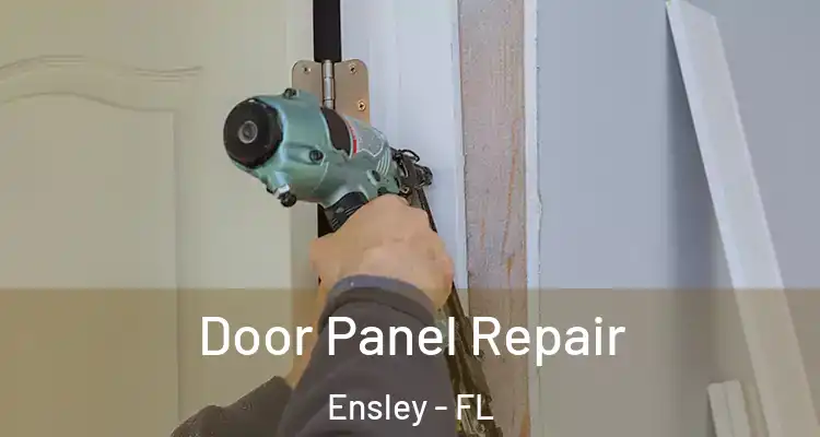  Door Panel Repair Ensley - FL