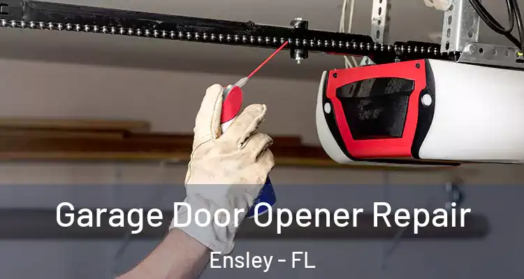  Garage Door Opener Repair Ensley - FL