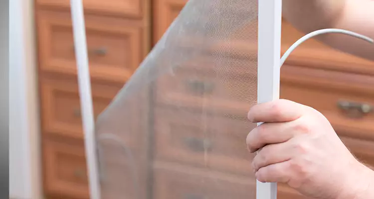 Privacy Mesh Screen Door Installation in Ensley, FL