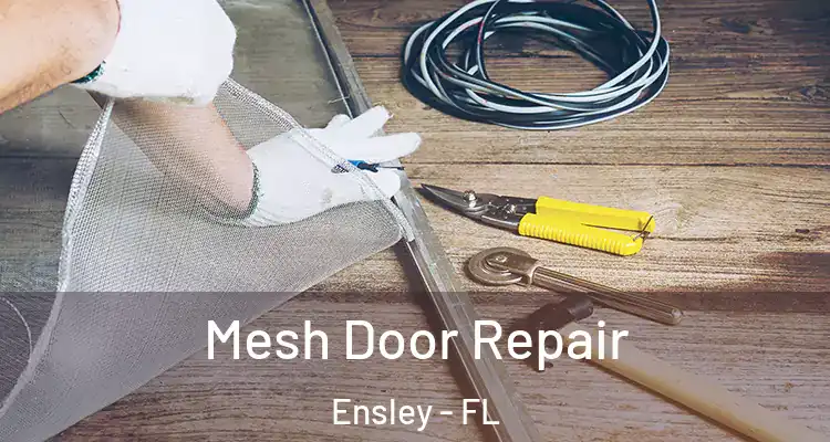  Mesh Door Repair Ensley - FL