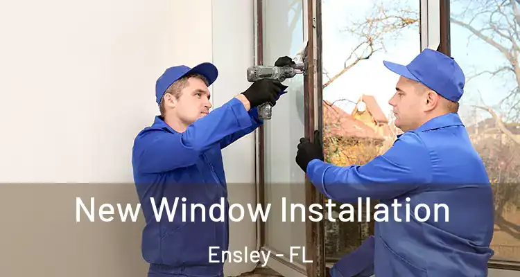  New Window Installation Ensley - FL