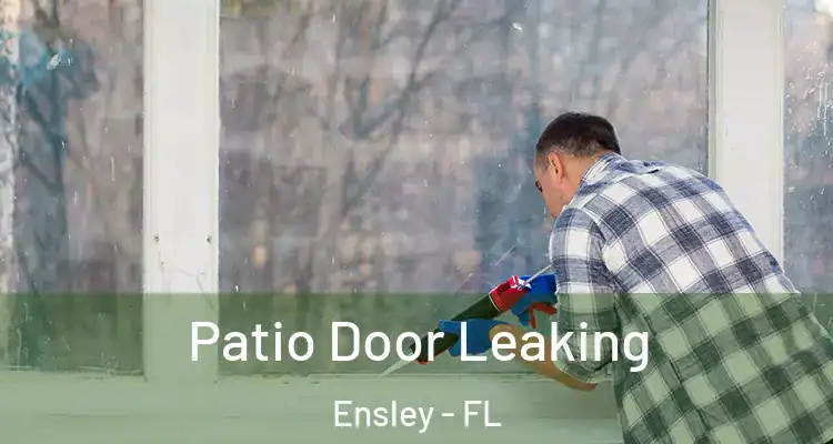  Patio Door Leaking Ensley - FL