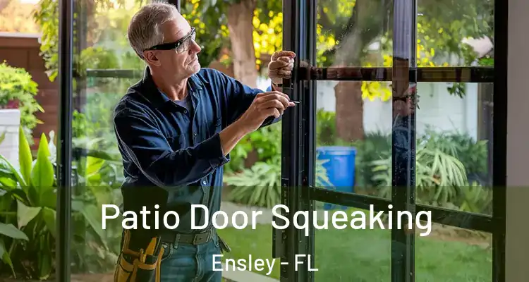  Patio Door Squeaking Ensley - FL