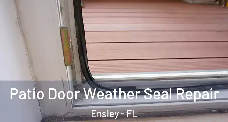  Patio Door Weather Seal Repair Ensley - FL
