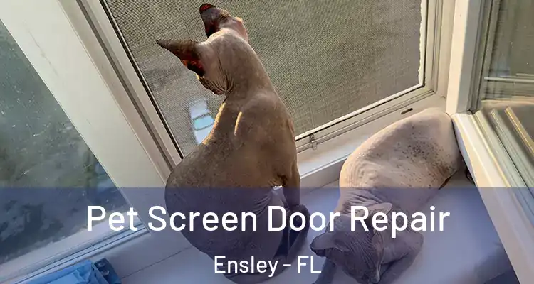  Pet Screen Door Repair Ensley - FL