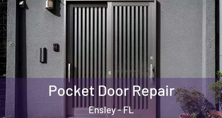  Pocket Door Repair Ensley - FL