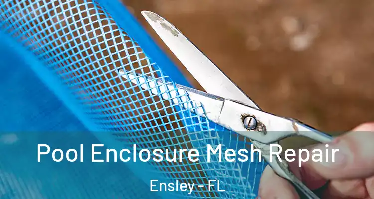  Pool Enclosure Mesh Repair Ensley - FL