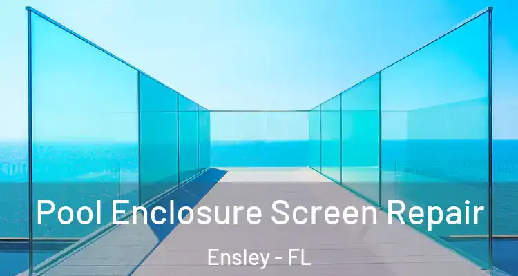  Pool Enclosure Screen Repair Ensley - FL