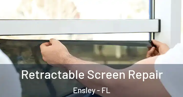  Retractable Screen Repair Ensley - FL