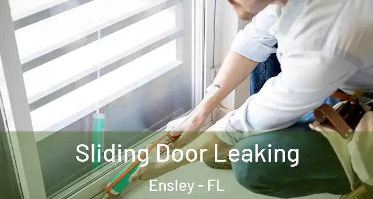  Sliding Door Leaking Ensley - FL