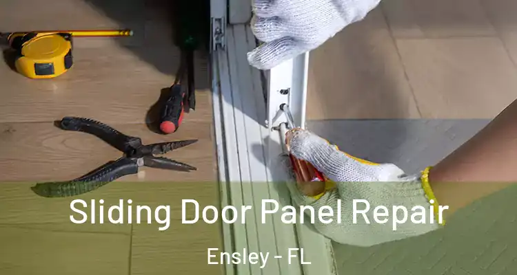  Sliding Door Panel Repair Ensley - FL