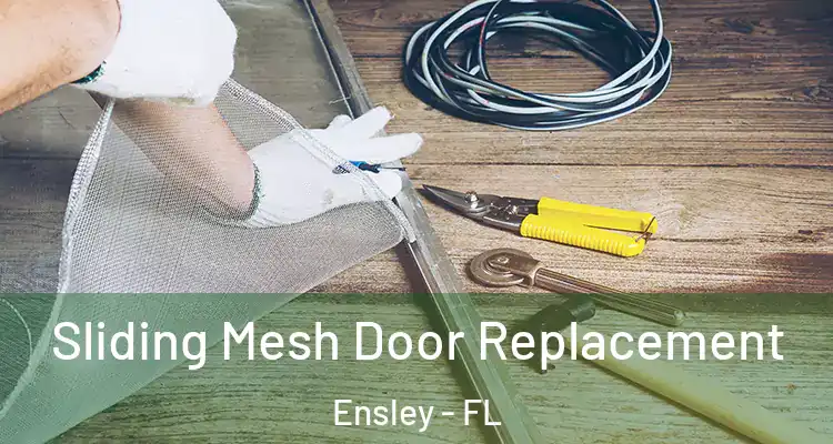  Sliding Mesh Door Replacement Ensley - FL