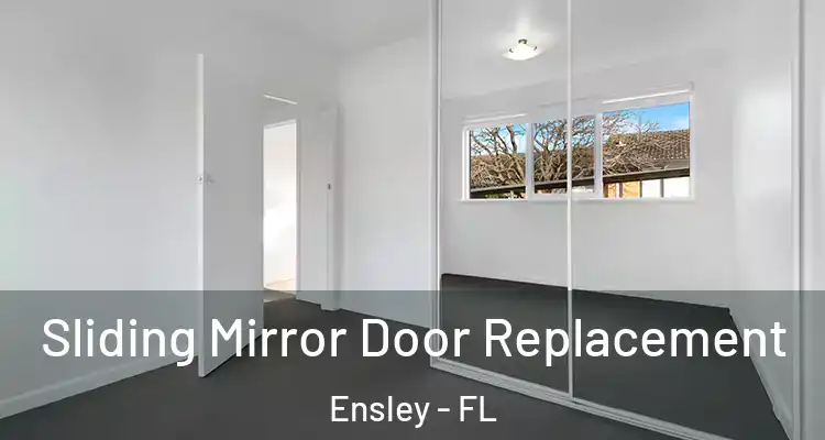  Sliding Mirror Door Replacement Ensley - FL