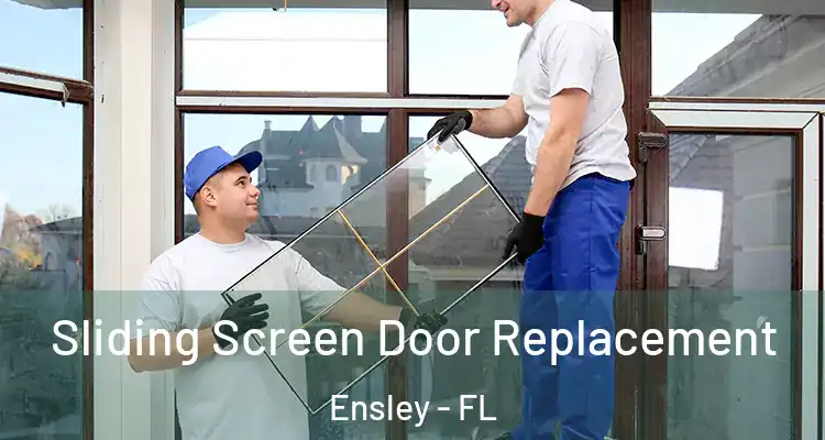  Sliding Screen Door Replacement Ensley - FL