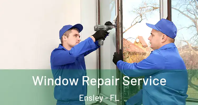  Window Repair Service Ensley - FL